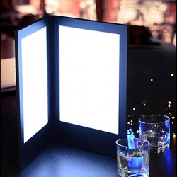 Unbranded Large LED Light-Up Menu (A4 Insert)